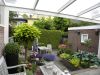 Veranda Greenline 600x350 cm Special