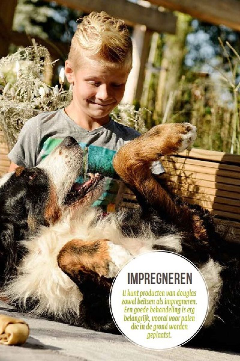 Fijnbezaagde gording Douglas 5x15x300 cm - groen geïmpregneerd