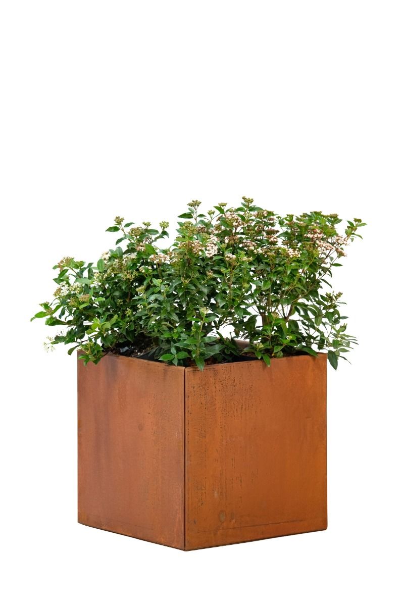Bloembak Hudson klein 60x60x60 cm