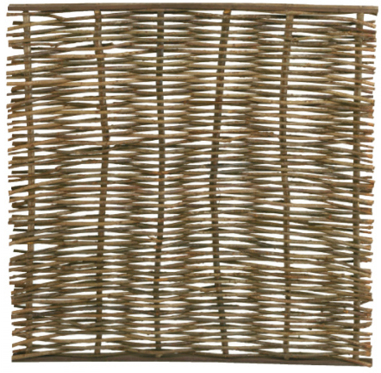 Wilgentenenscherm Solide 180x180 cm