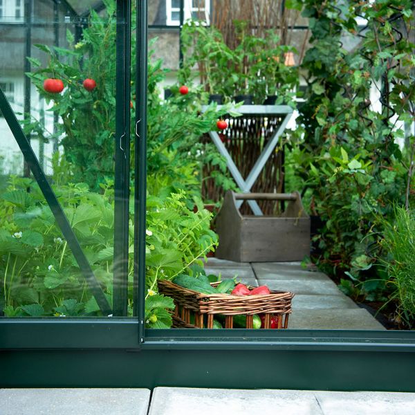 Tuinkas Popular 66 klassiek groen - 3 mm veiligheidsglas - 193x195 cm