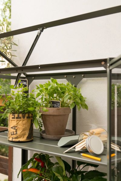 Kweekkast Urban Grower Medium- 76,5x41,5x108 cm - Groengrijs