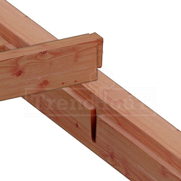 Trendhout Overkapping Palermo 845x370 cm
