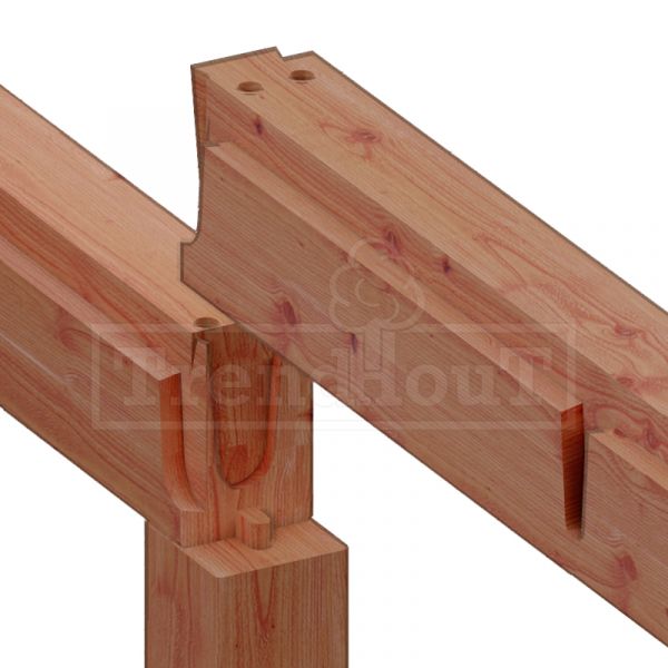 Trendhout Overkapping Palermo 845x370 cm