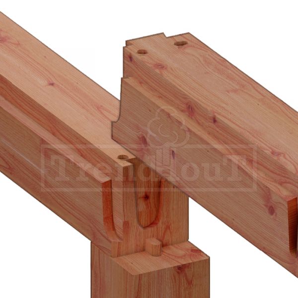 Trendhout Overkapping Palermo XXL 380x380 cm