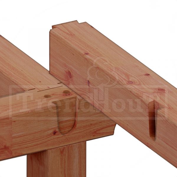 Trendhout Overkapping Siena 1000x415 cm