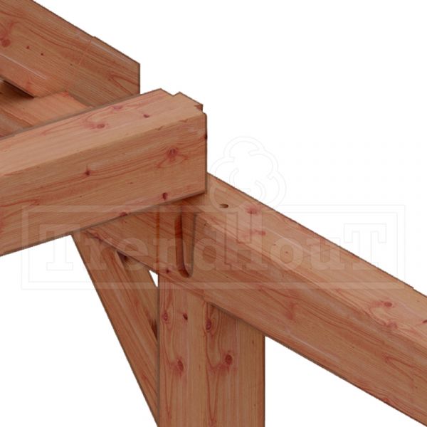 Trendhout Overkapping Zadeldak XXL 655x595 cm