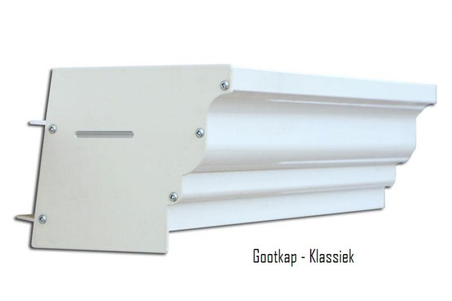 Profiline 2.0 XXL veranda 1000x250 cm - polycarbonaat dak