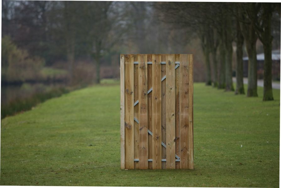 Tuindeur Solide 100x180 cm