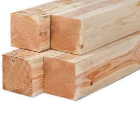 Lariks/Douglas palen onbehandeld (vers hout) 15x15x600 cm